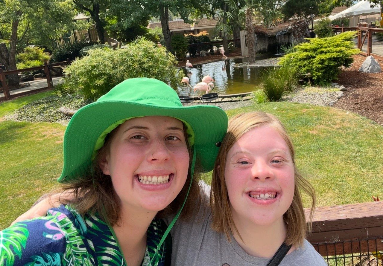 Daily Notes daily-notes